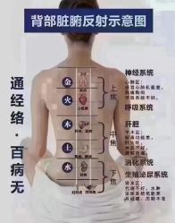-香薇妮丝女子减肥院