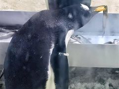 -大连圣亚海洋世界