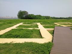 -盘龙城国家考古遗址公园