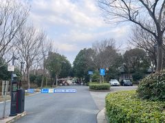 -贡湖湾湿地公园