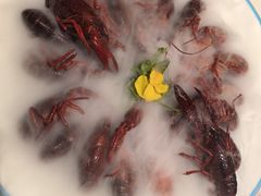 -杨氏青龙虾·羊蝎子(珠江路店)