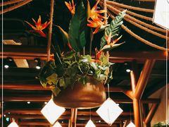 大堂-云海肴云南菜(正大广场店)