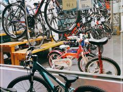 -GIANT捷安特自行车专卖店(金桥台儿庄路店)