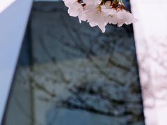 -龙美术馆西岸馆-停车场