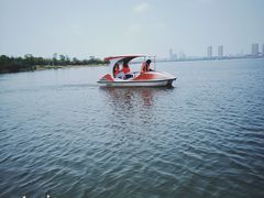 -瑶湖郊野森林公园
