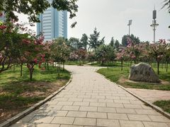 -富斯特索道