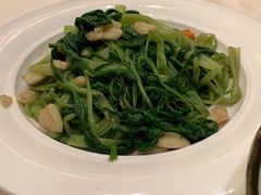 -沙龙酒家
