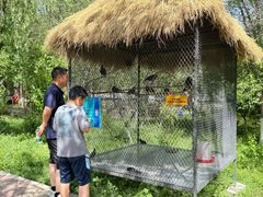 -水上乐园·欢乐世界