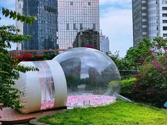 -极光口腔·矫正种植修复(锦江店)