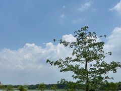-风云岭森林公园