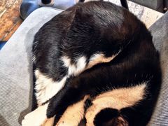 -雕刻时光·咖啡·酒吧·西餐(香山店)