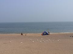 -青岛得宝湾维景国际大酒店(五四广场奥帆中心店)