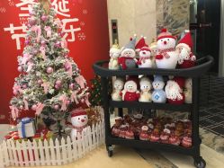 -宝生月子中心(民治店)