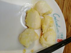 -青瓷火锅料理(西单大悦城店)