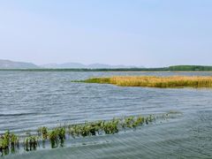 -微山湖红荷湿地景区