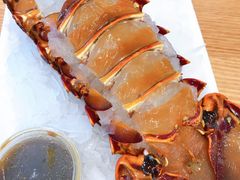 -悉尼鱼市场