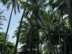 -三亚蜈支洲岛旅游区