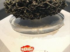 -湖南省地质博物馆