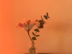 -HUATA 'Holiday Plan 花榻
