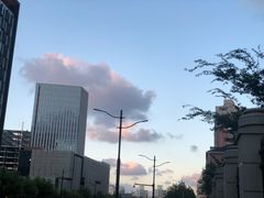 -五月罗马海鲜自助餐厅(月星环球港店)
