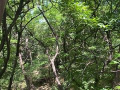 -大连植物园