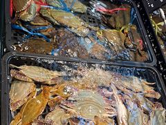 -海鲜e族(马王堆店)