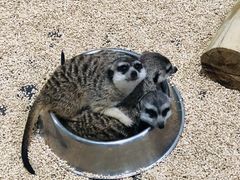 -海合安武汉极地海洋公园