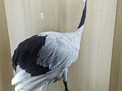 -中国湿地博物馆