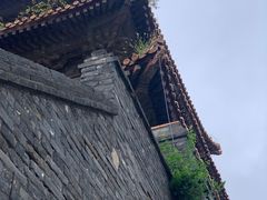 -北陵公园