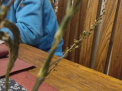 -枞馫单丛茶·茶室·茶馆(风林绿洲店)