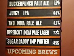 -Boxing Cat Brewery拳击猫精酿啤酒馆(永福店)