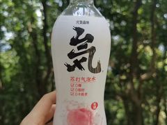 -火炉山森林公园