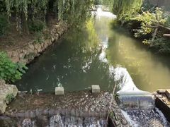 -夏霖九天银瀑风景区
