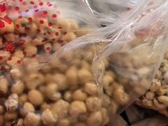 -宝正臻天津包子总店(金阳光居易店)