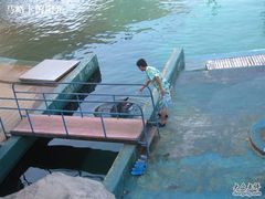 -秦皇岛乐岛海洋王国