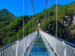 -洛阳白云山景区