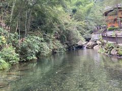 -紫鹊界梯田景区