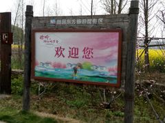 -田园东方蜜桃村的田野营地