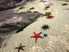 -福州罗源湾海洋世界旅游区