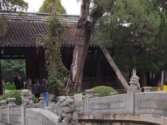 -汇龙潭