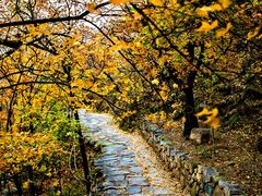 -北京鹫峰国家森林公园