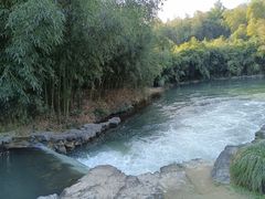 -杭州植物园