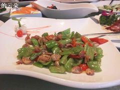 拉丝肚子-新长岭大酒店酒楼