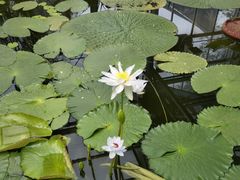 -国家植物园南园