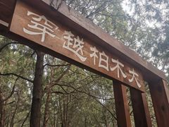 -佛慧山