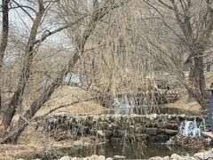 -长白岛森林公园