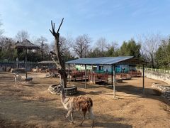 -西安秦岭野生动物园