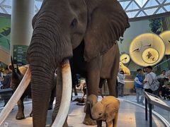 -陕西自然博物馆