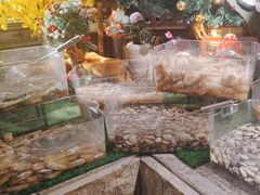 -杭州开元名都大酒店·地中海自助餐厅