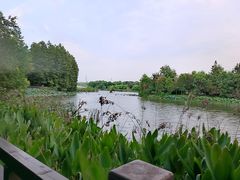 -东湖落雁景区